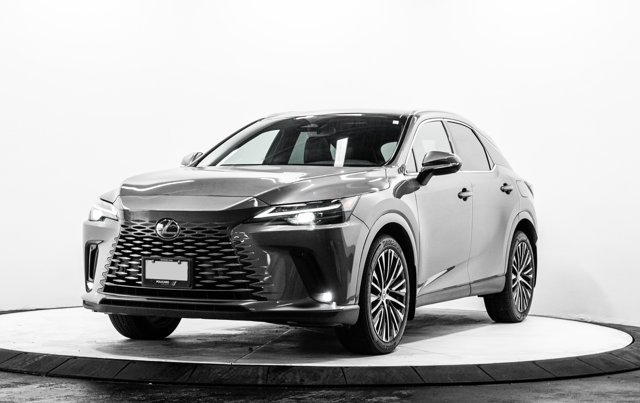 2024 Lexus RX LUXURY PACKAGE