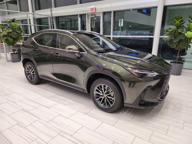 2025 Lexus NX 250 Premium