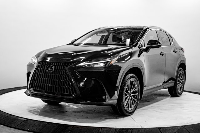 2025 Lexus NX NX 250