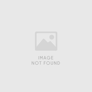 2022 Toyota Tacoma 4WD 